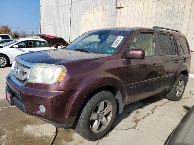HONDA PILOT EXL 2010 with VIN 5FNYF4H58AB022680 - Photo from auction