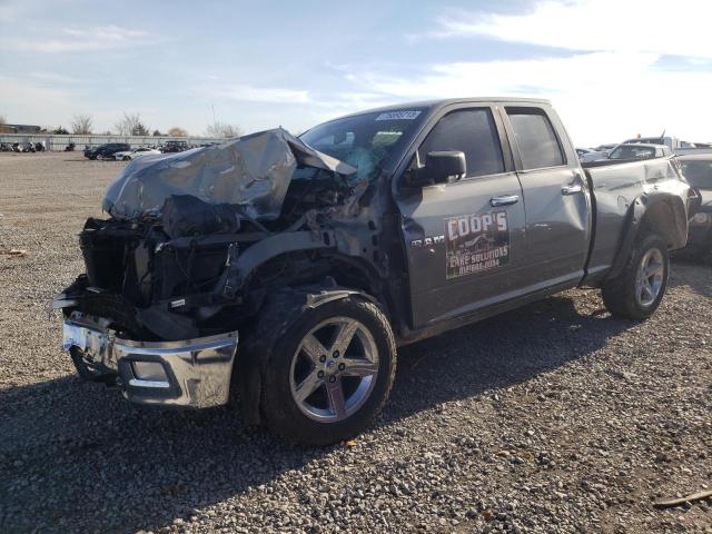 DODGE RAM 1500 2009 with VIN 1D3HV18T59S786900 - Photo from auction
