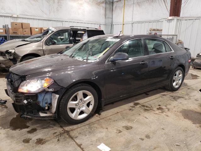 CHEVROLET MALIBU LS 2011 with VIN 1G1ZB5E15BF221229 - Photo from auction