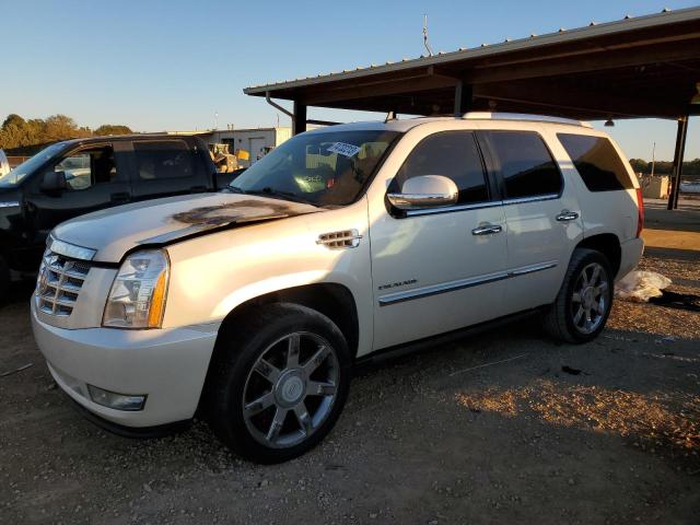 CADILLAC ESCALADE P 2011 with VIN 1GYS4CEFXBR343113 - Photo from auction