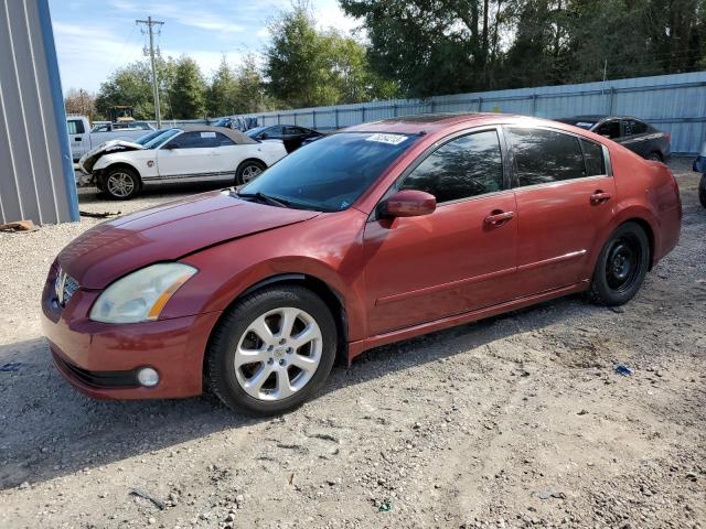 NISSAN MAXIMA SE 2007 with VIN 1N4BA41E47C861381 - Photo from auction