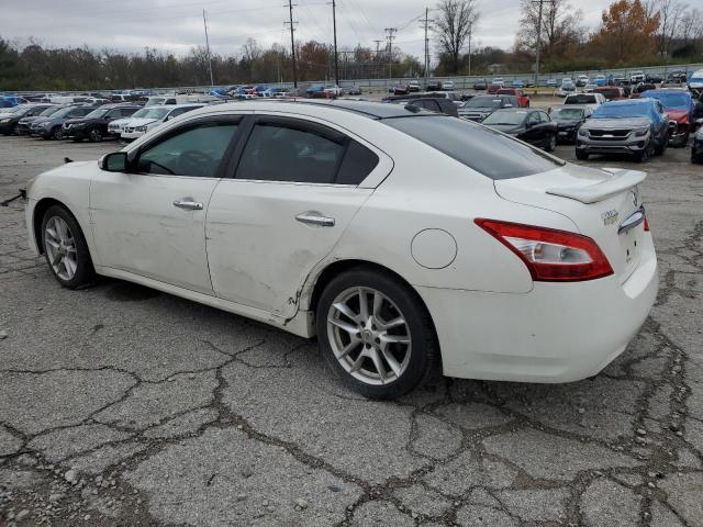 Photo 2 from auction – 2010 NISSAN MAXIMA S with VIN 1N4AA5AP4AC838287