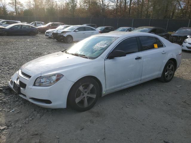 CHEVROLET MALIBU LS 2012 with VIN 1G1ZA5EU1CF356867 - Photo from auction