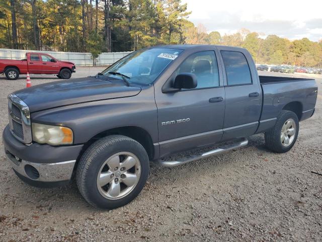 DODGE RAM 1500 S 2003 with VIN 1D7HU18N43J629486 - Photo from auction