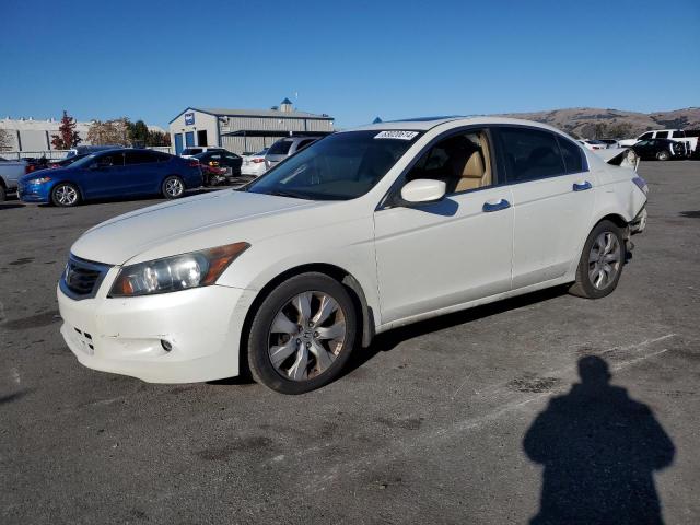 HONDA ACCORD EXL 2008 with VIN 1HGCP36868A076367 - Photo from auction