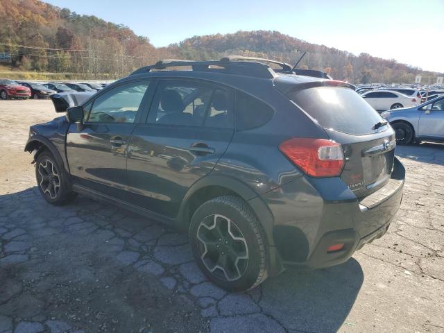 Photo 2 from auction – 2014 SUBARU XV CROSSTR with VIN JF2GPAKC6E8317380