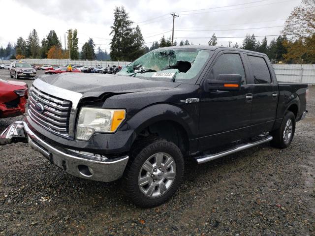 FORD F150 SUPER 2010 with VIN 1FTEW1C80AFD03659 - Photo from auction