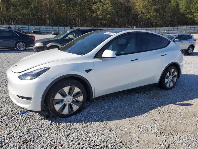 TESLA MODEL Y 2023 with VIN 7SAYGDEE6PF782409 - Photo from auction