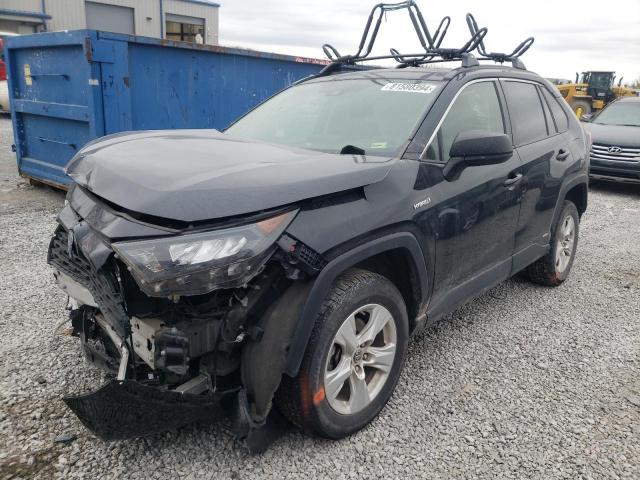TOYOTA RAV4 LE 2019 with VIN JTMLWRFV8KD029146 - Photo from auction