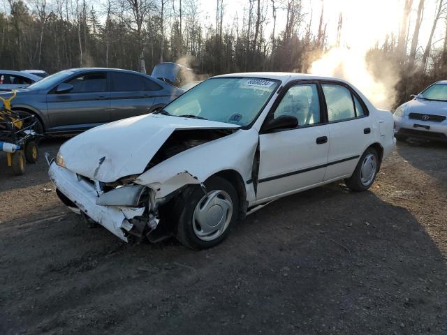 TOYOTA COROLLA VE 1998 with VIN 2T1BR12E7WC700903 - Photo from auction