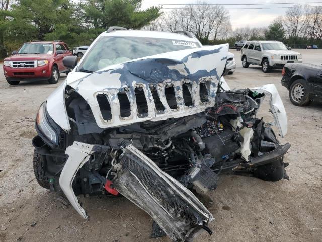 Photo 5 from auction – 2014 JEEP CHEROKEE T with VIN 1C4PJMBS0EW161566