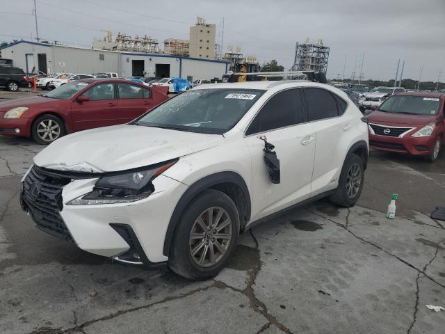 LEXUS NX 300H 2020 with VIN JTJDJRDZ2L5002140 - Photo from auction