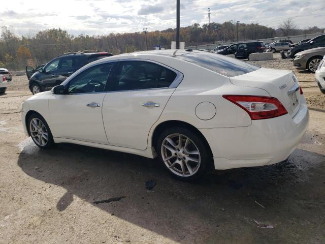 Photo 2 from auction – 2011 NISSAN MAXIMA S with VIN 1N4AA5AP8BC816875