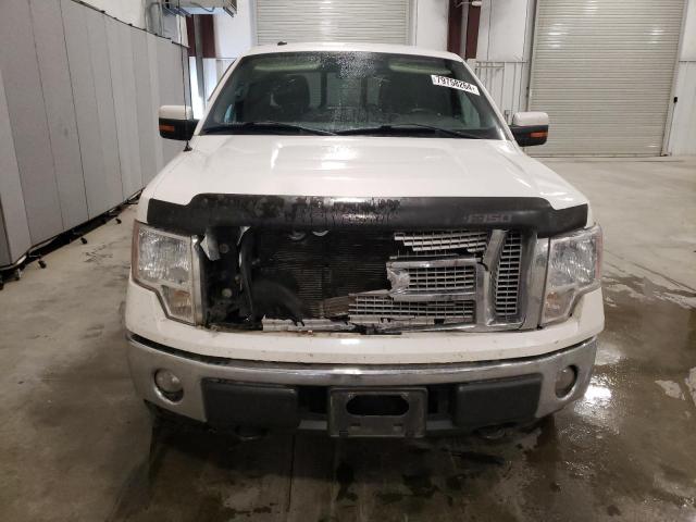 Photo 5 from auction – 2010 FORD F150 SUPER with VIN 1FTFW1EV4AFD80882