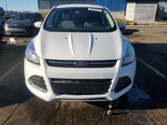Photo 5 from auction – 2014 FORD ESCAPE SE with VIN 1FMCU0GX7EUB07224