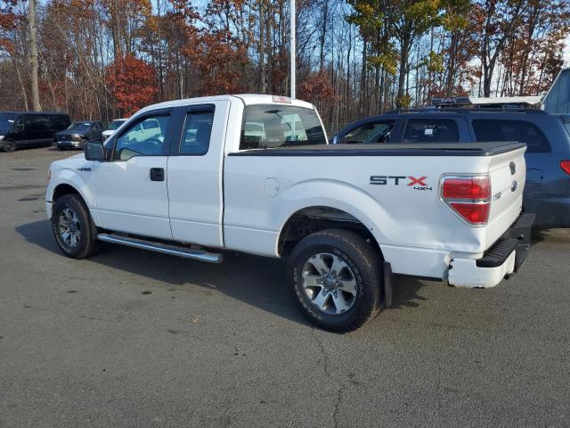 Photo 2 from auction – 2013 FORD F150 SUPER with VIN 1FTFX1EF9DFA70866