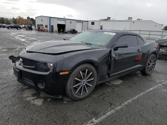 CHEVROLET CAMARO LS 2013 مع رقم تعريف المركبة 2G1FA1E36D9230243 - صورة من المزاد
