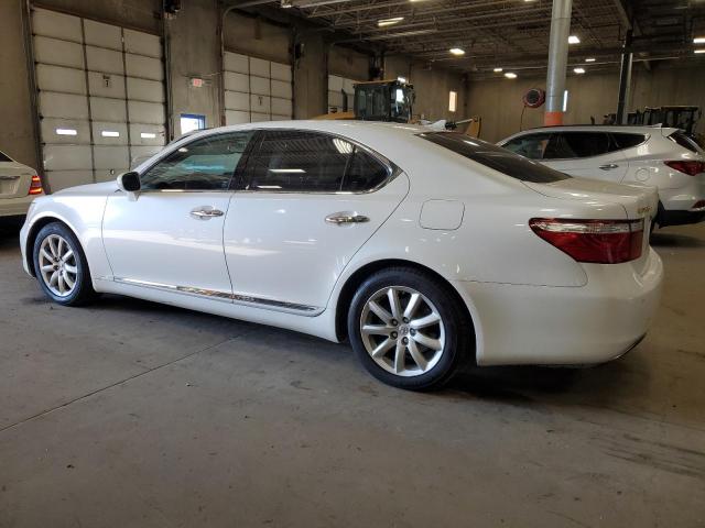 Photo 2 from auction – 2007 LEXUS LS 460 with VIN JTHBL46F975018558