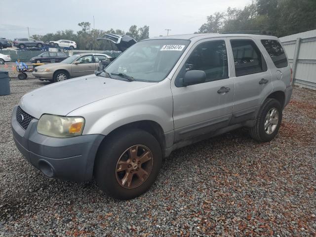 FORD ESCAPE XLT 2007 with VIN 1FMYU03197KA49588 - Photo from auction