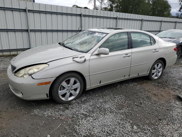 LEXUS ES 330 2005 with VIN JTHBA30G155063668 - Photo from auction