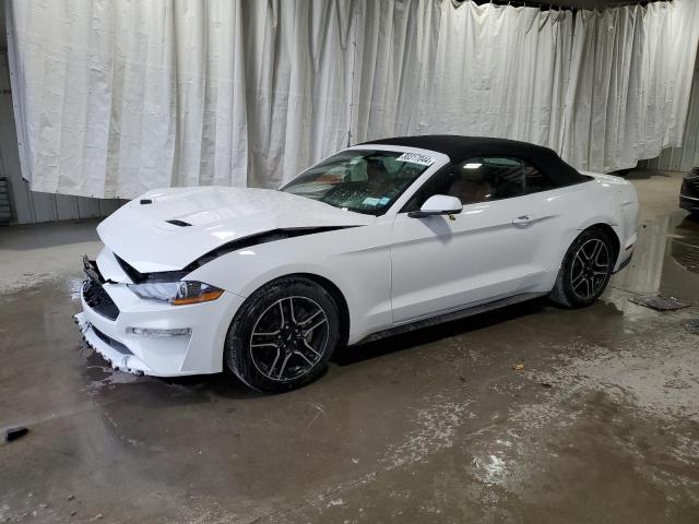 FORD MUSTANG 2019 with VIN 1FATP8UH9K5153303 - Photo from auction