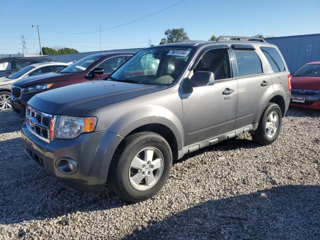 FORD ESCAPE XLT 2010 with VIN 1FMCU0DG5AKB21228 - Photo from auction