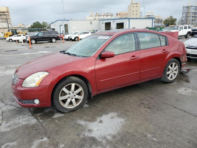 NISSAN MAXIMA SE 2004 with VIN 1N4BA41E34C912915 - Photo from auction