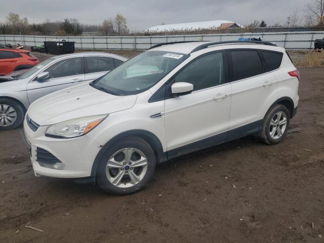 FORD ESCAPE SE 2014 with VIN 1FMCU0GX5EUB95187 - Photo from auction