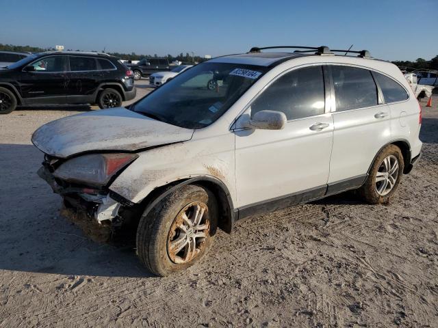 HONDA CR-V EXL 2011 with VIN JHLRE3H71BC006597 - Photo from auction