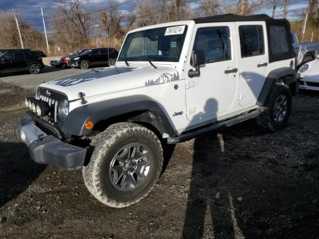 Photo 1 from auction – 2015 JEEP WRANGLER U with VIN 1C4BJWDG4FL614332