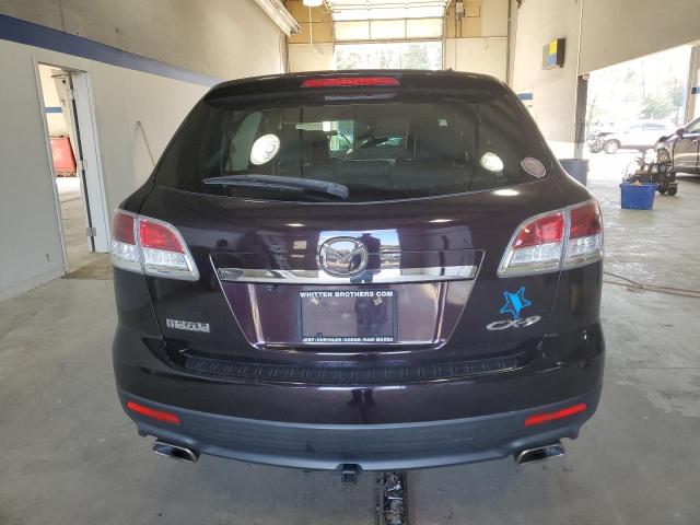 Photo 6 from auction – 2009 MAZDA CX-9 with VIN JM3TB28A990173522