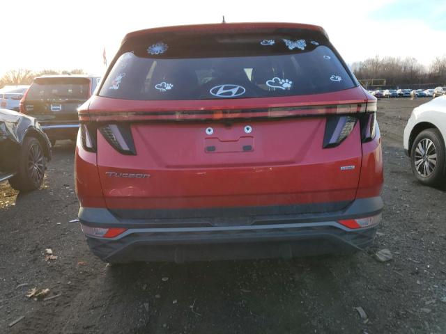 Photo 6 from auction – 2023 HYUNDAI TUCSON SEL with VIN 5NMJBCAEXPH170354
