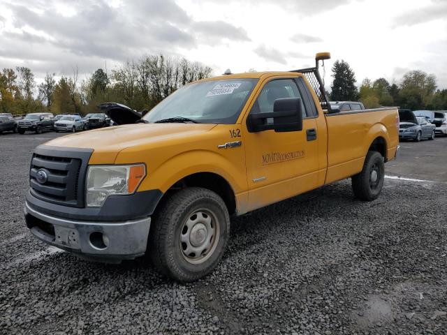 FORD F150 2012 with VIN 1FTPF1CT1CKE10436 - Photo from auction