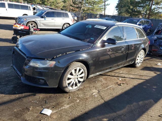 AUDI A4 PREMIUM 2010 with VIN WAUWFAFL8AA008033 - Photo from auction