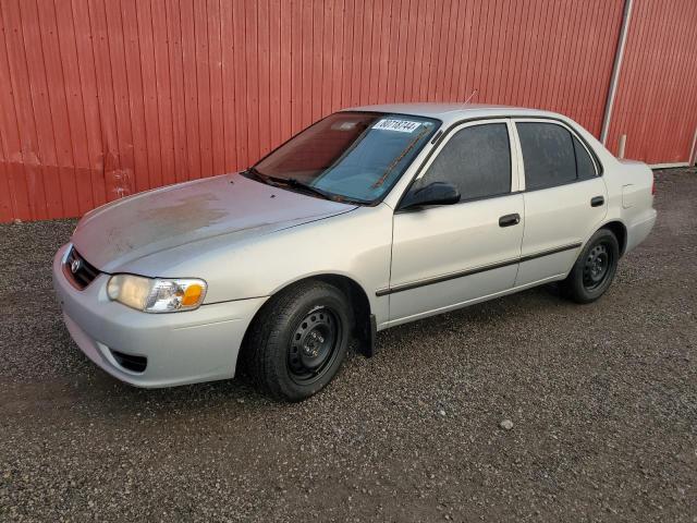 TOYOTA COROLLA CE 2002 with VIN 2T1BR12E12C883421 - Photo from auction