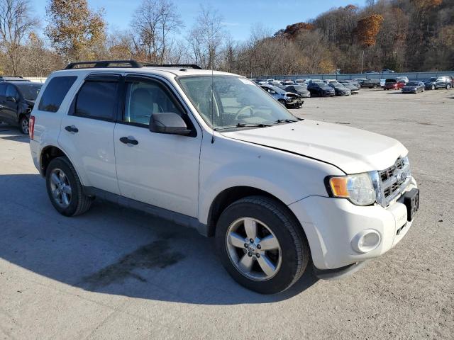 Photo 4 from auction – 2011 FORD ESCAPE XLT with VIN 1FMCU0D76BKB38833