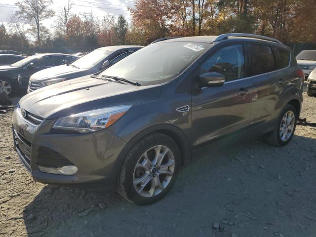 FORD ESCAPE TIT 2016 with VIN 1FMCU9J97GUB85374 - Photo from auction
