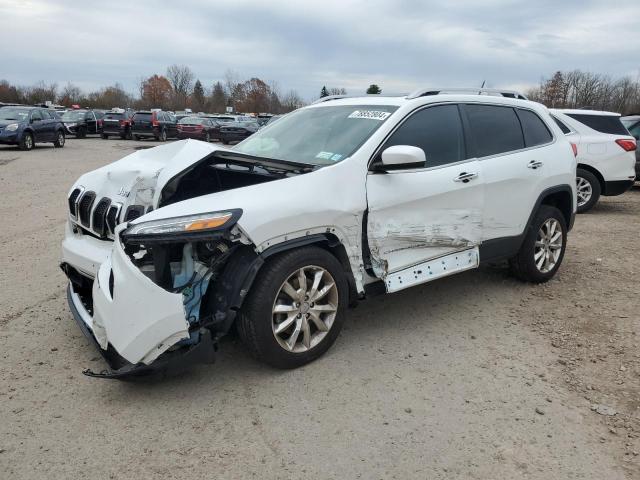 JEEP CHEROKEE L 2014 with VIN 1C4PJLDB2EW204585 - Photo from auction