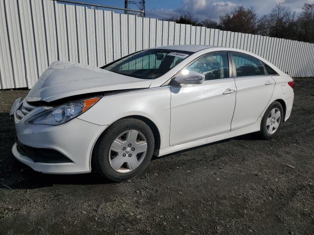 HYUNDAI SONATA GLS 2014 with VIN 5NPEB4AC8EH823558 - Photo from auction
