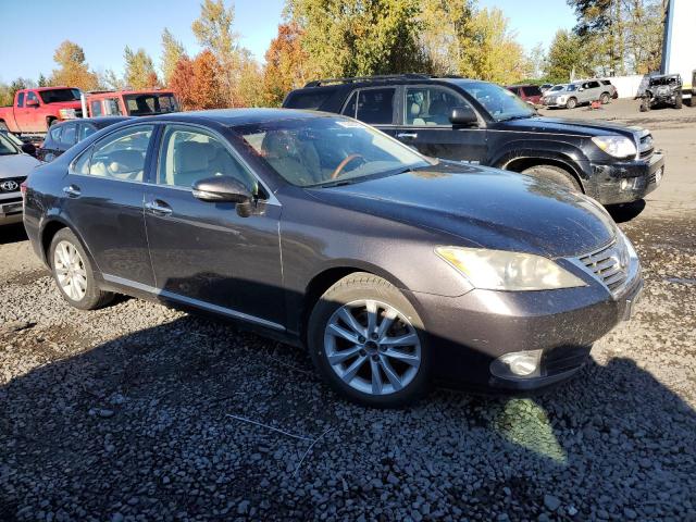 Photo 4 from auction – 2010 LEXUS ES 350 with VIN JTHBK1EGXA2351968