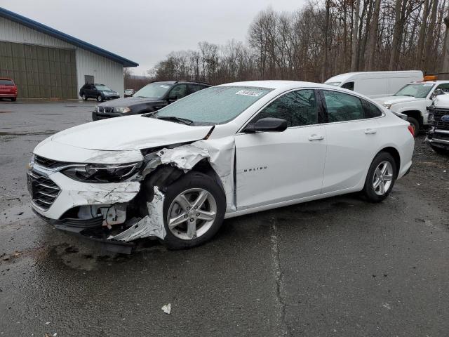 CHEVROLET MALIBU LS 2023 with VIN 1G1ZB5ST0PF121097 - Photo from auction