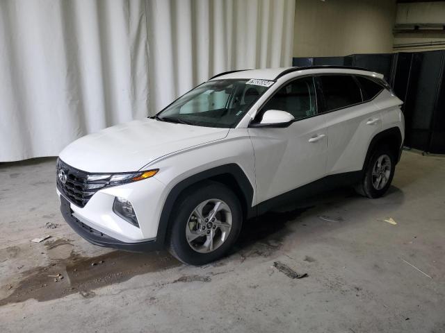 HYUNDAI TUCSON SEL 2024 with VIN 5NMJBCDE0RH328103 - Photo from auction