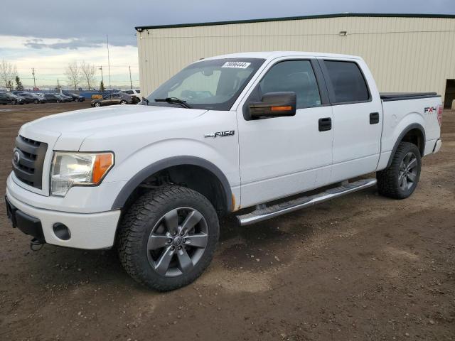 FORD F150 SUPER 2010 with VIN 1FTFW1EV2AFC38112 - Photo from auction