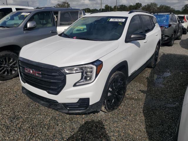 GMC TERRAIN SL 2024 with VIN 3GKALMEG5RL252775 - Photo from auction