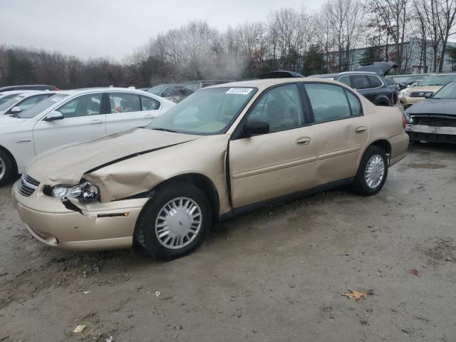CHEVROLET MALIBU 2003 with VIN 1G1ND52J13M687654 - Photo from auction