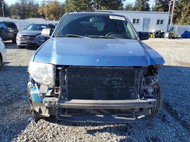Photo 5 from auction – 2009 FORD ESCAPE XLT with VIN 1FMCU93G49KA18142