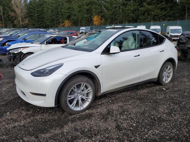TESLA MODEL Y 2024 with VIN 7SAYGDEE7RF985618 - Photo from auction