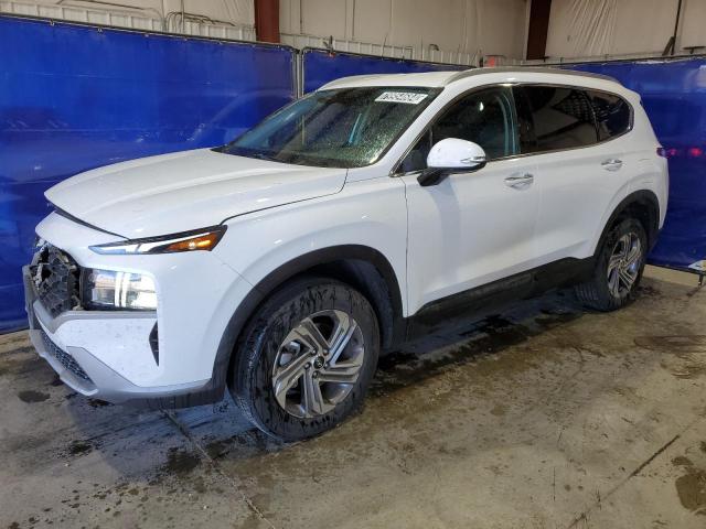 HYUNDAI SANTA FE S 2023 with VIN 5NMS2DAJ4PH629983 - Photo from auction