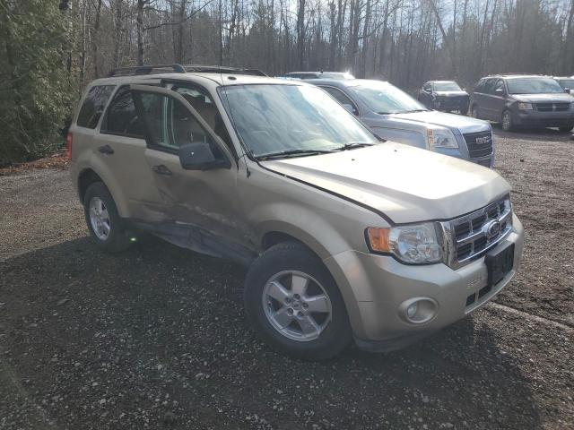 Photo 4 from auction – 2010 FORD ESCAPE XLT with VIN 1FMCU0DG5AKC70187