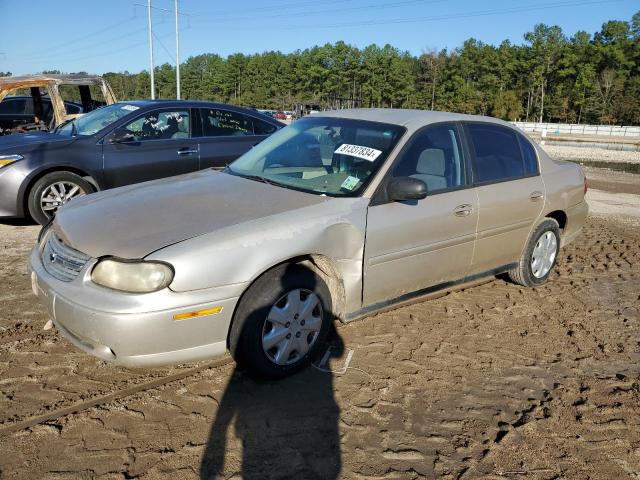 CHEVROLET CLASSIC 2005 with VIN 1G1ND52F45M181346 - Photo from auction